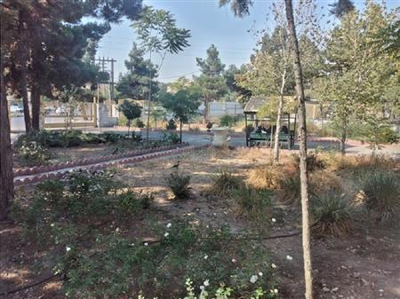 فضای سبز کتابخانه